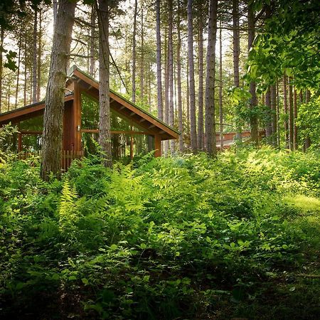 Blackwood Forest Cabins - Forest Holidays Popham Luaran gambar