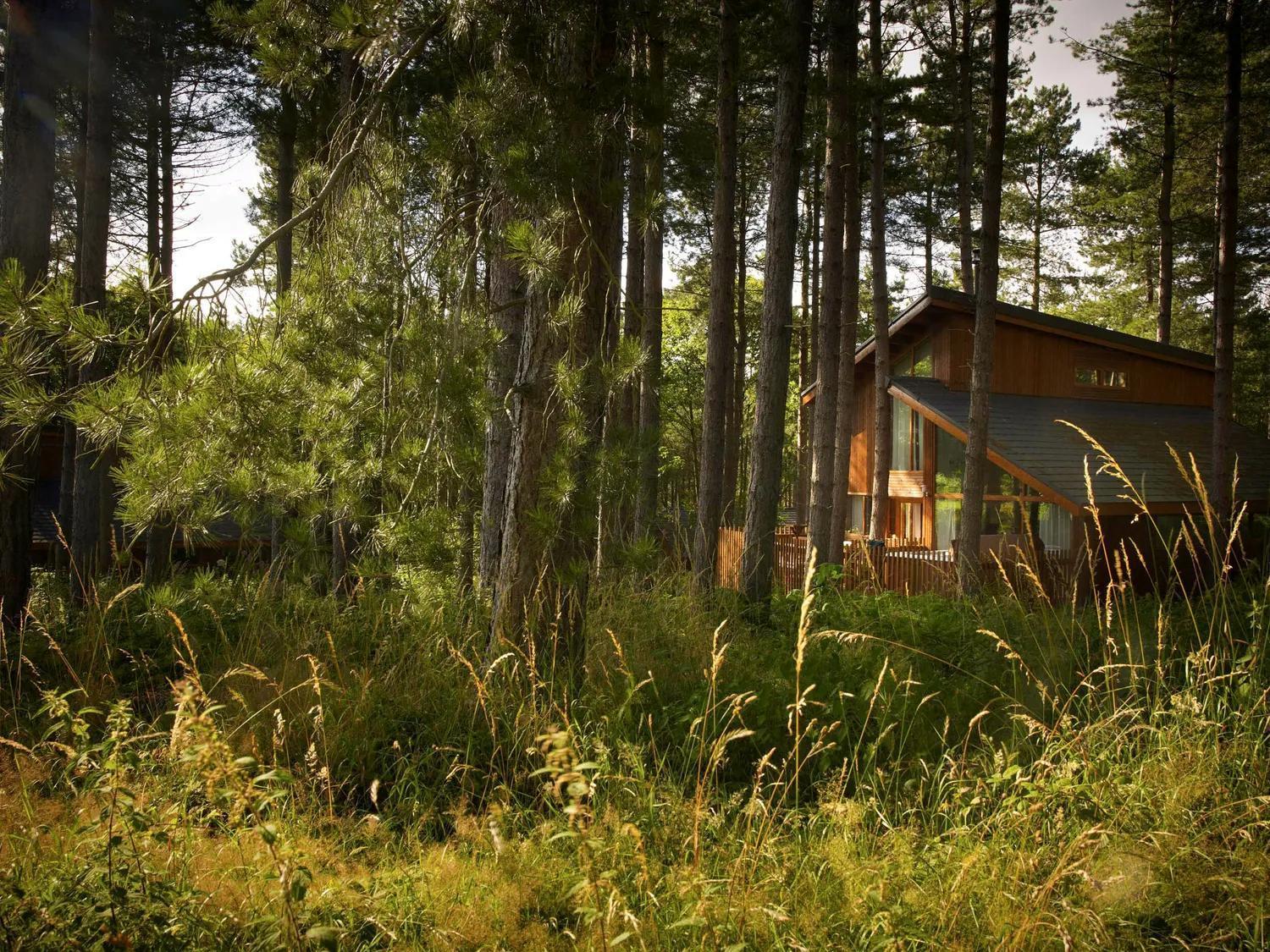 Blackwood Forest Cabins - Forest Holidays Popham Luaran gambar