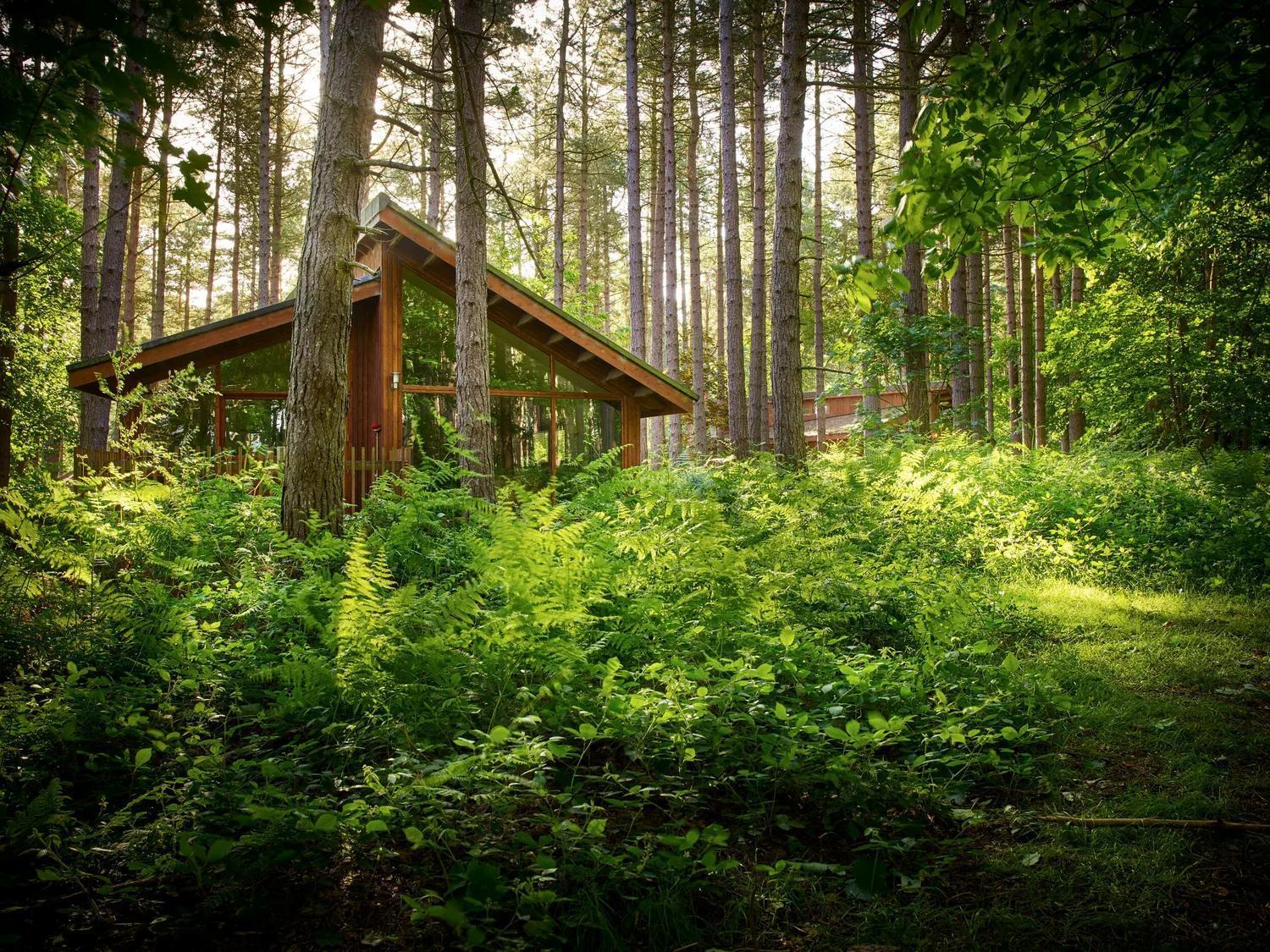 Blackwood Forest Cabins - Forest Holidays Popham Luaran gambar