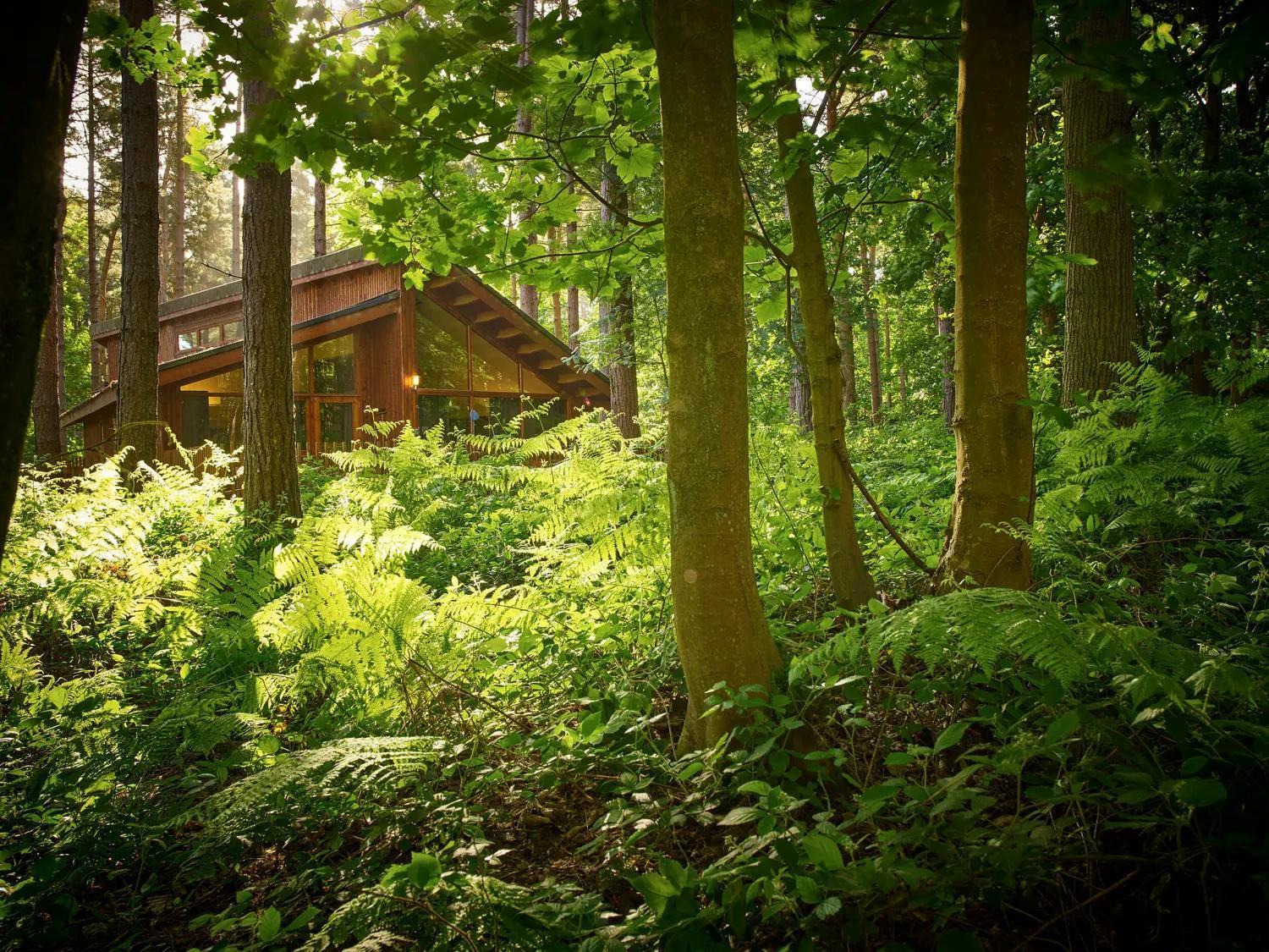 Blackwood Forest Cabins - Forest Holidays Popham Luaran gambar