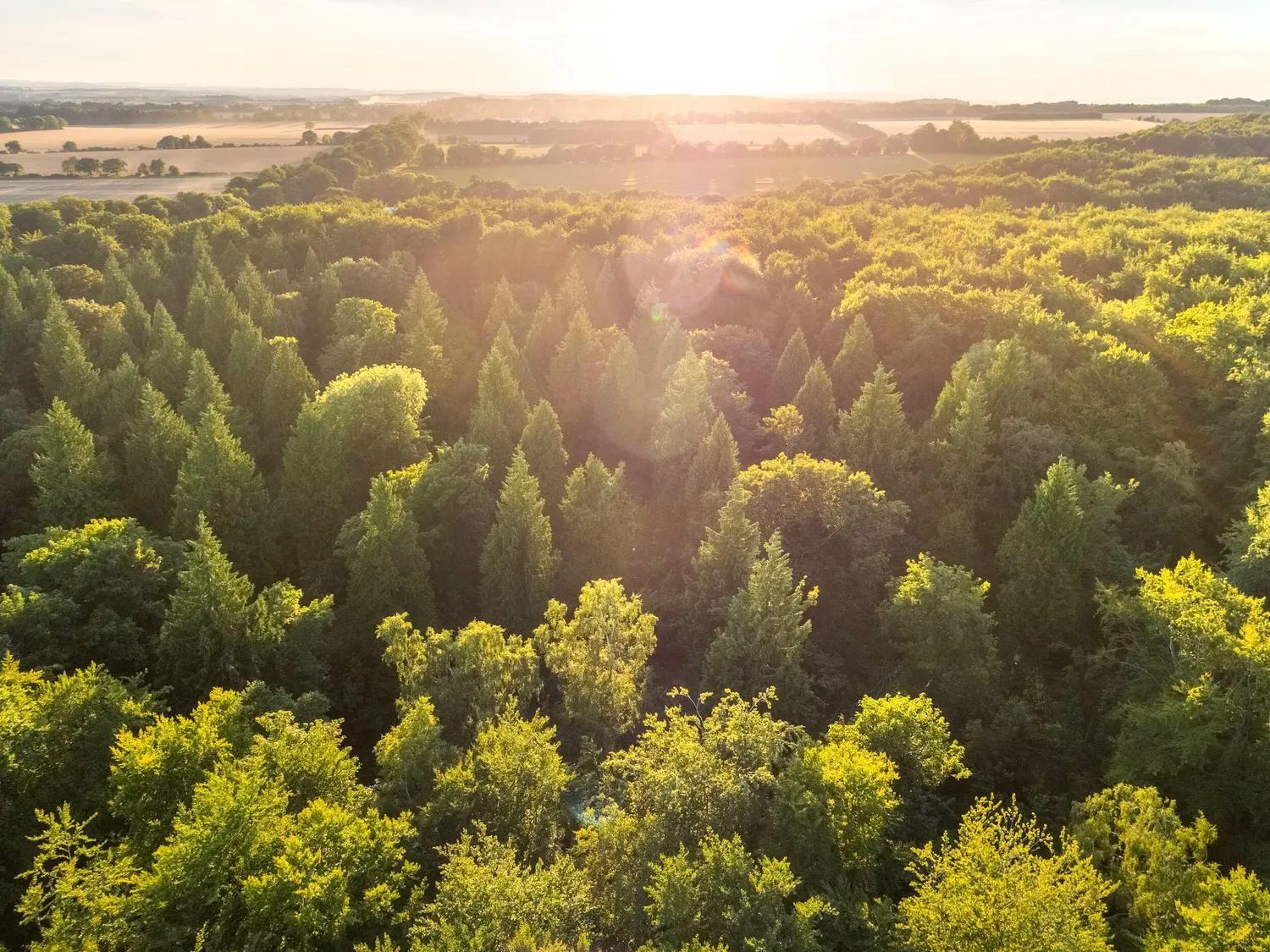 Blackwood Forest Cabins - Forest Holidays Popham Luaran gambar